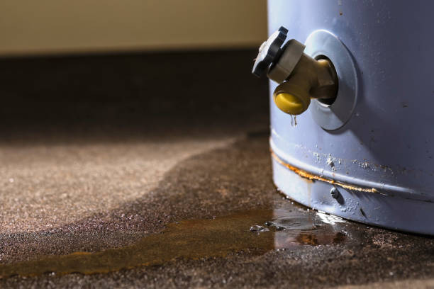 Best Ceiling water damage repair  in Blytheville, AR