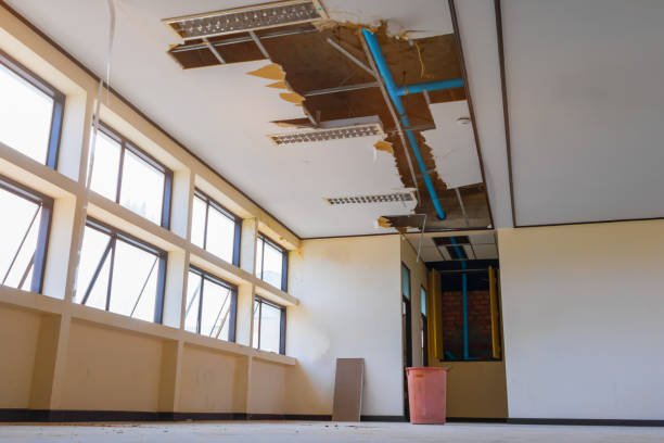 Best Basement water damage restoration  in Blytheville, AR