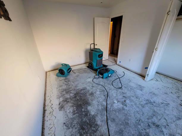 Best Water damage cleanup near me  in Blytheville, AR