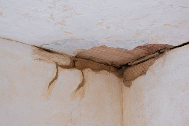 , AR Water damage restoration Company