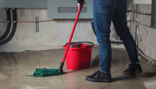Best Water damage restoration near me  in Blytheville, AR