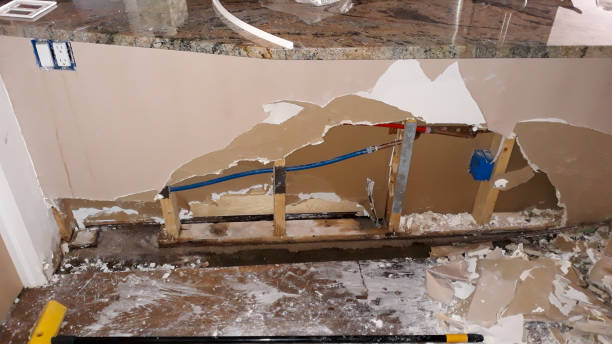 Best Mold removal after water damage  in Blytheville, AR