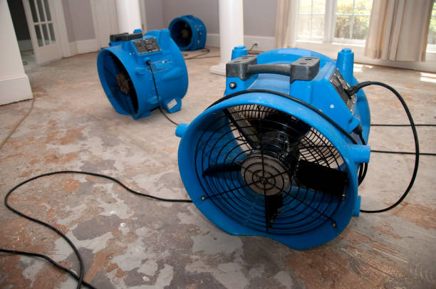Best Local water damage restoration  in Blytheville, AR