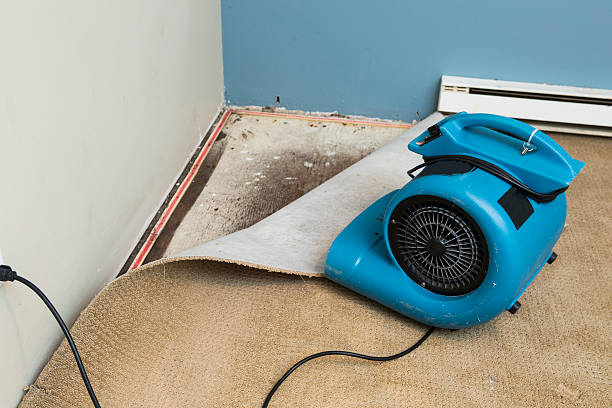 Best Residential water damage restoration  in Blytheville, AR